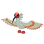 Ibis