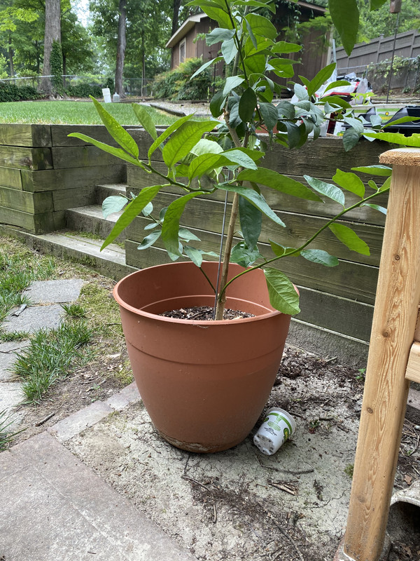 9B704CC1-AD34-4831-8230-0F774E605C60