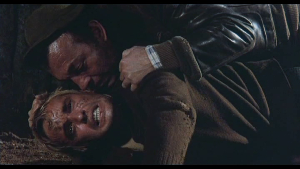 vlcsnap-2024-07-03-16h19m58s150