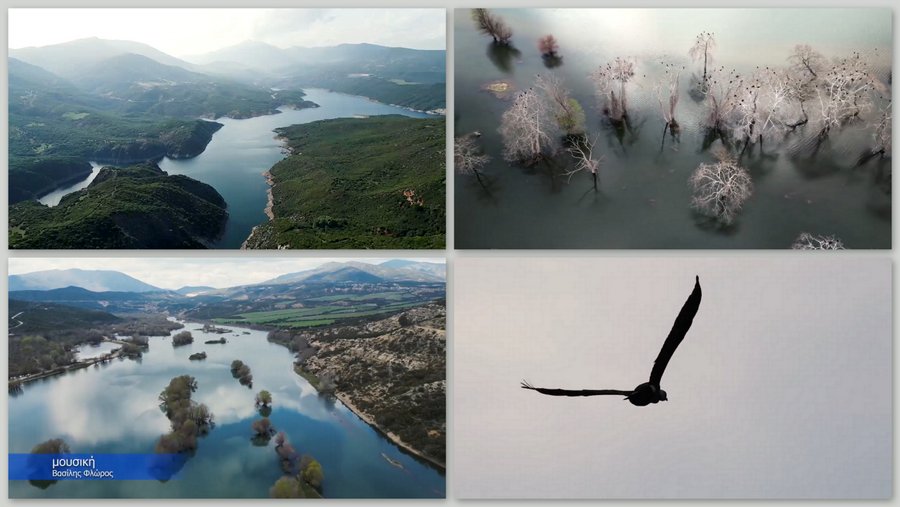 κοζάνη, ειδήσεις, νέα, Πτολεμαΐδα