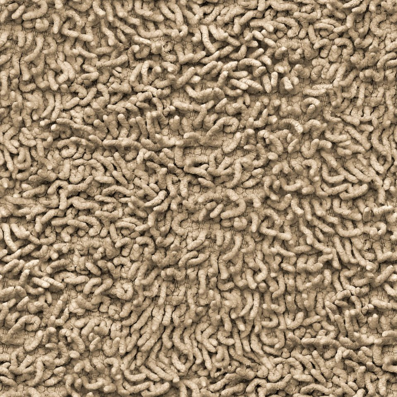 539710_394804727245818_922157959_n