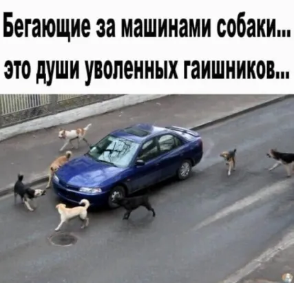 i-2.jpg
