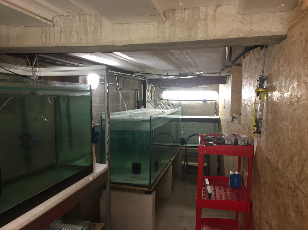fishroom4 (1)