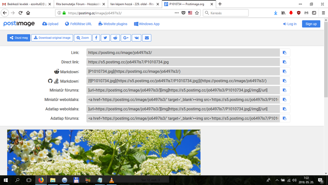 Screenshot 2018-05-20 07.22.39