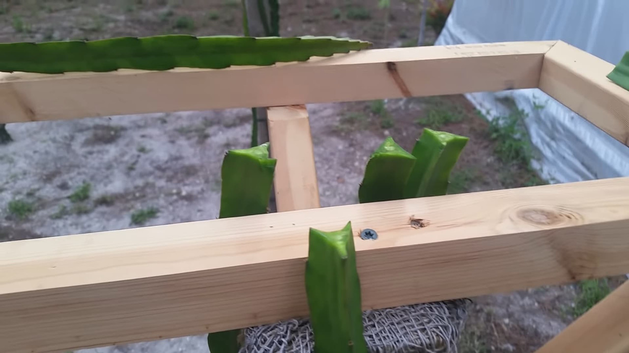 wood-rectangle-top-view.jpg