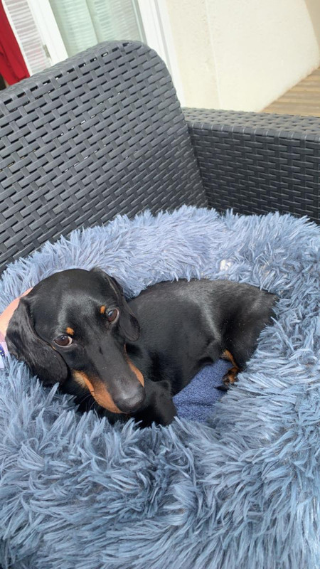 [Image: IMG-1469.jpg]