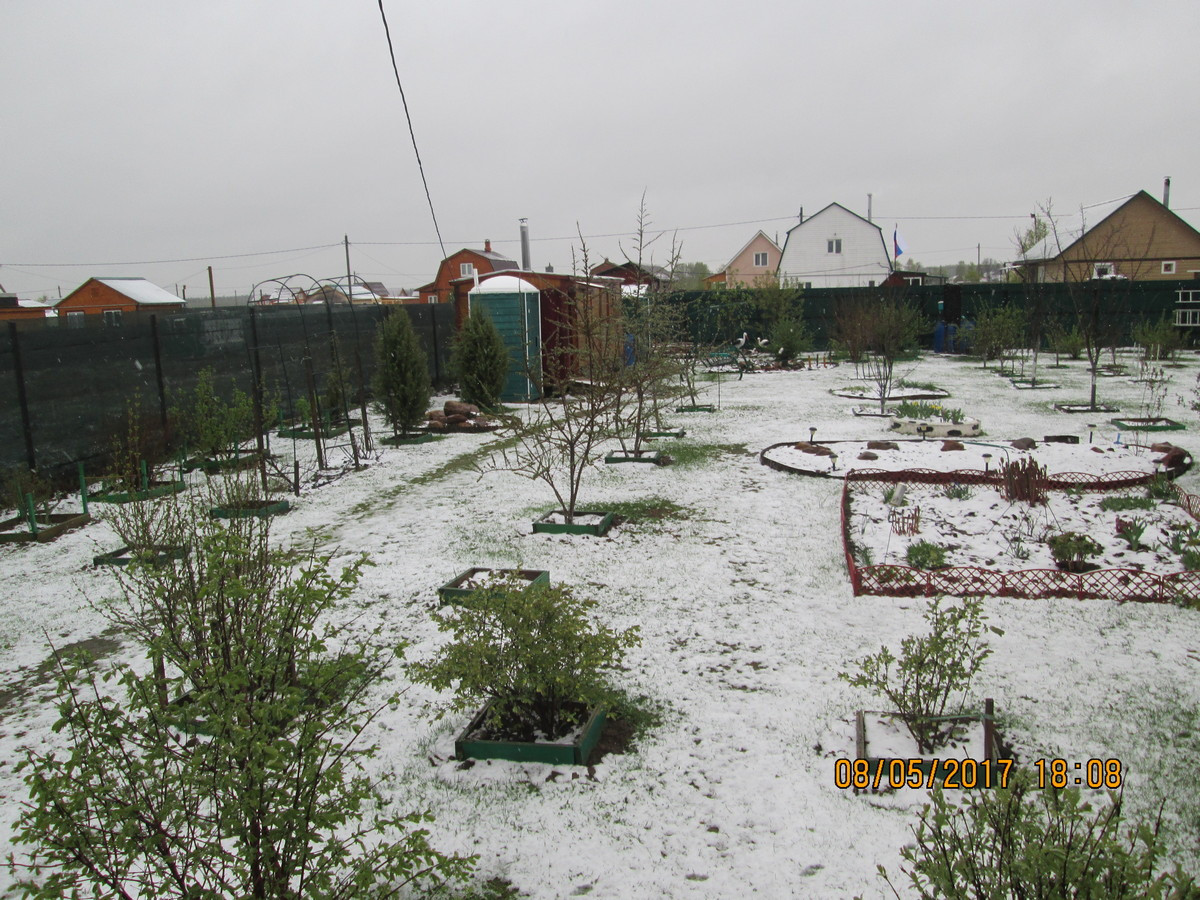 moroz 08 05