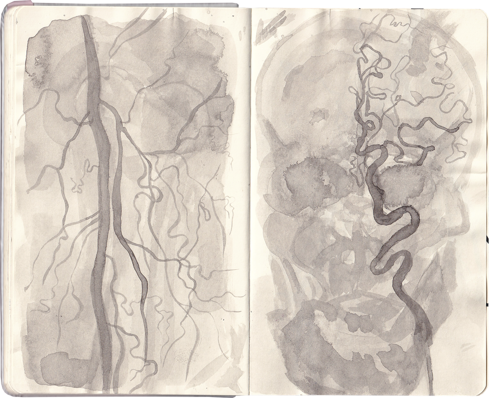 sketchbook-stribrny-27.png