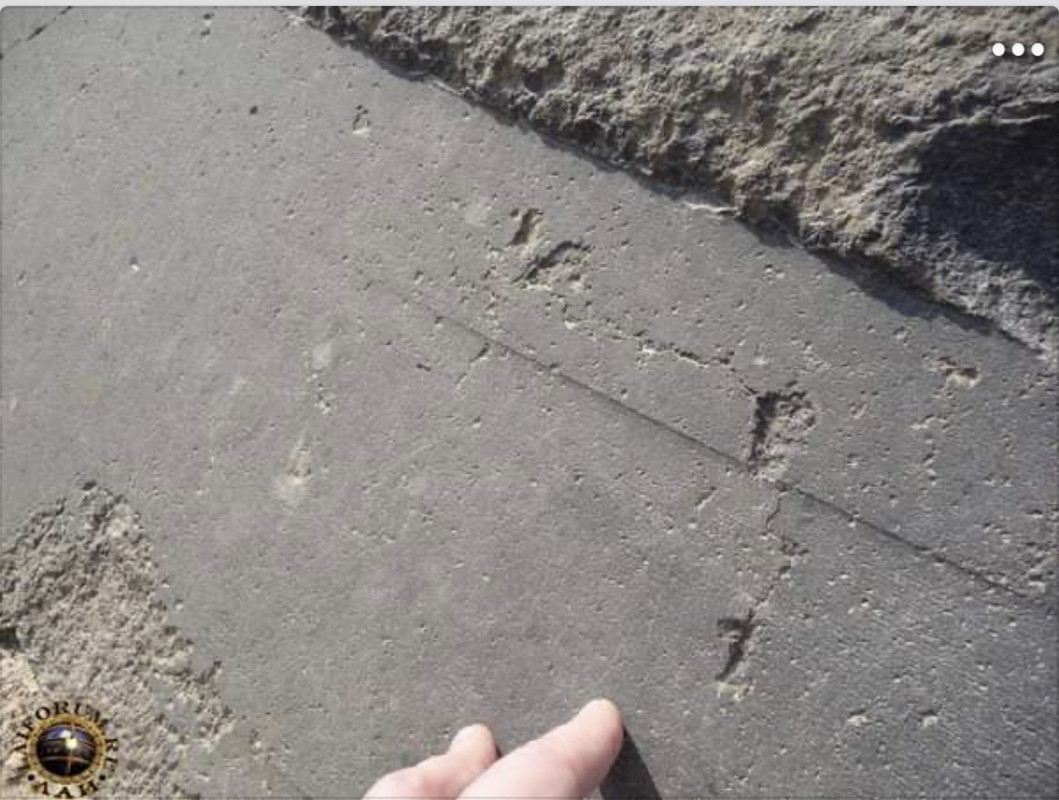 28DD3AF5-CF2F-4EDD-8CF7-5ABA26387D36