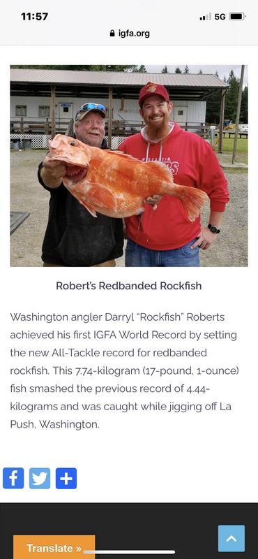 DECFD26C-9E92-42CC-AC90-3CBA22D737AB