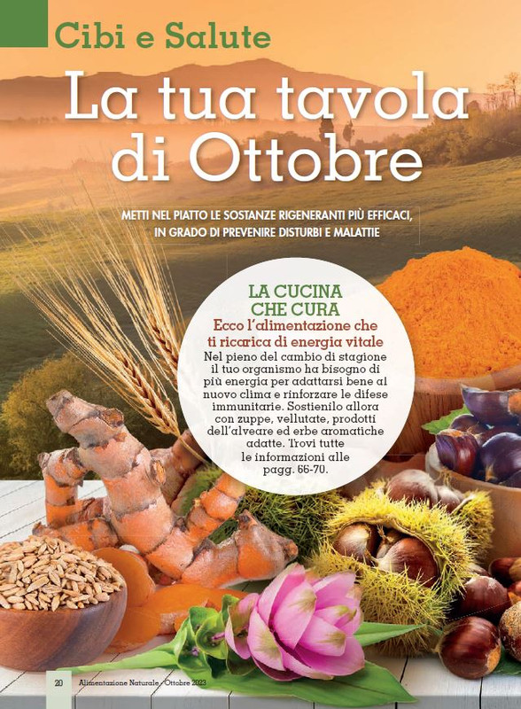 Alim Nat Ott 2023 (1)