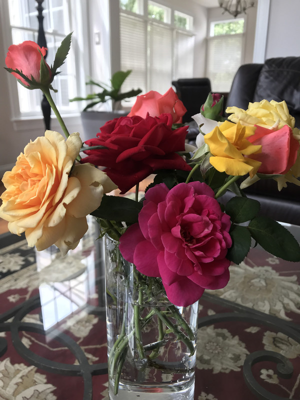 C74C21DE-715F-4700-9155-F6C3EC3613B0