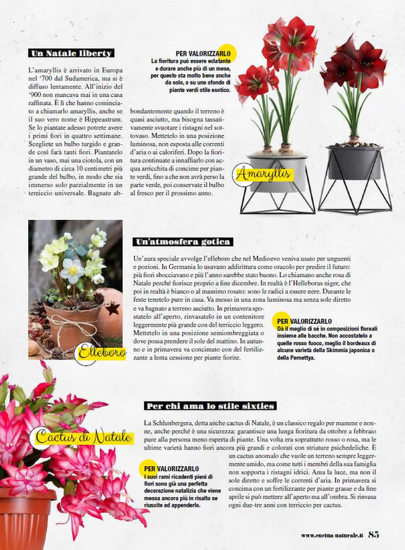 Cucina Nat Dic 2022 (12)