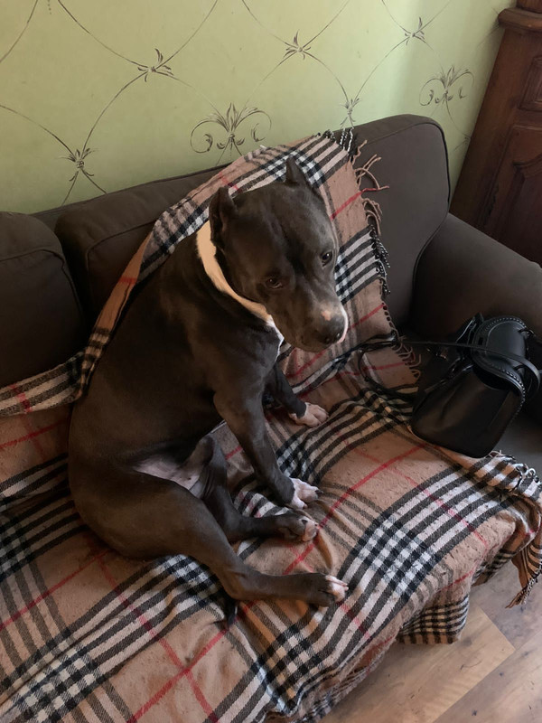 3CC5C54C-9C31-4B87-8985-3E98F0FE521C