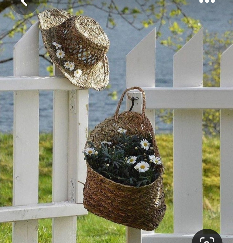 Screenshot_20230616_181040_Pinterest