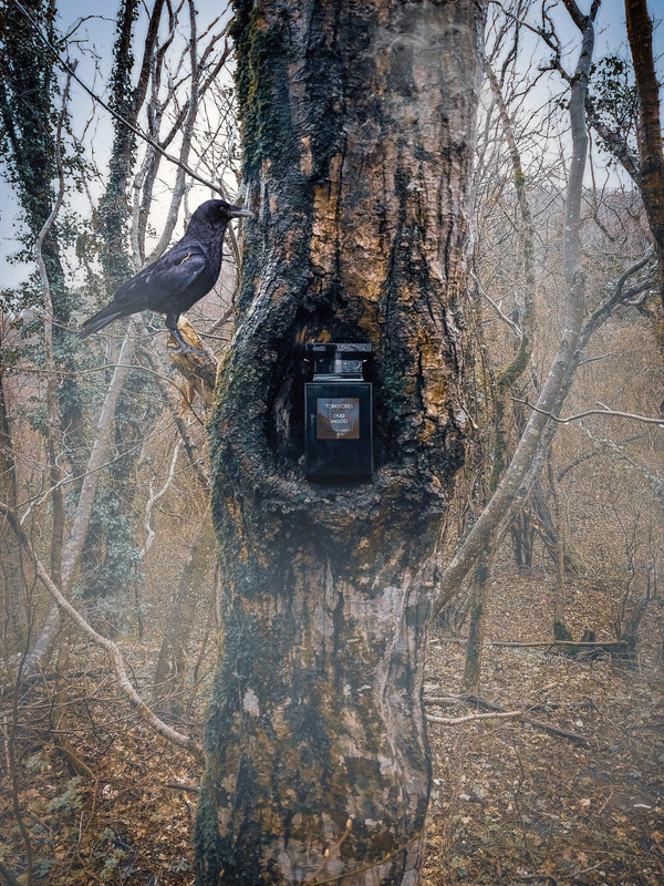 Oud Wood