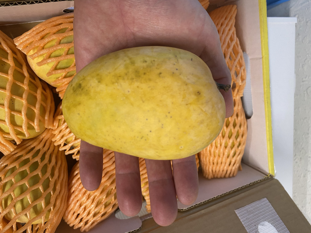 84F956F9-5022-4C50-A4E6-CB9B19DEDBF9