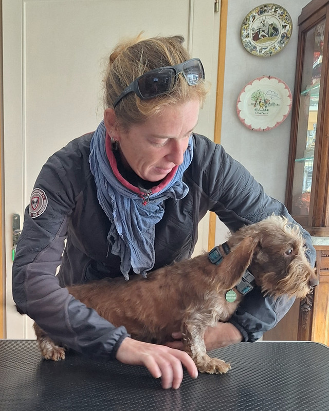 [Image: 20241022-144331.jpg]