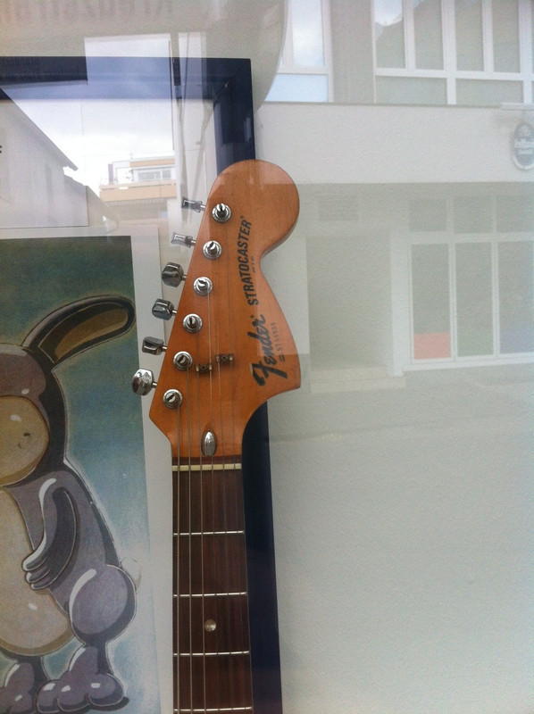 фотография (15)