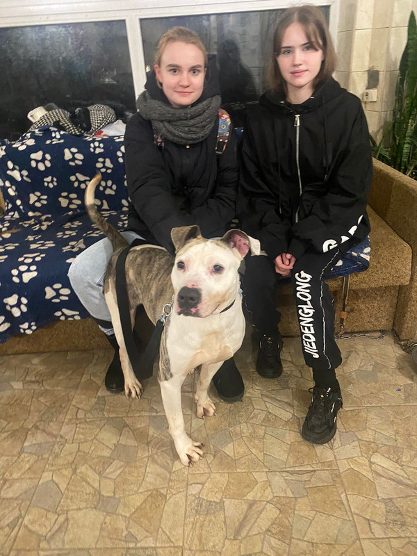 007B517F-78C6-40A4-AE40-423C4C80FFFE