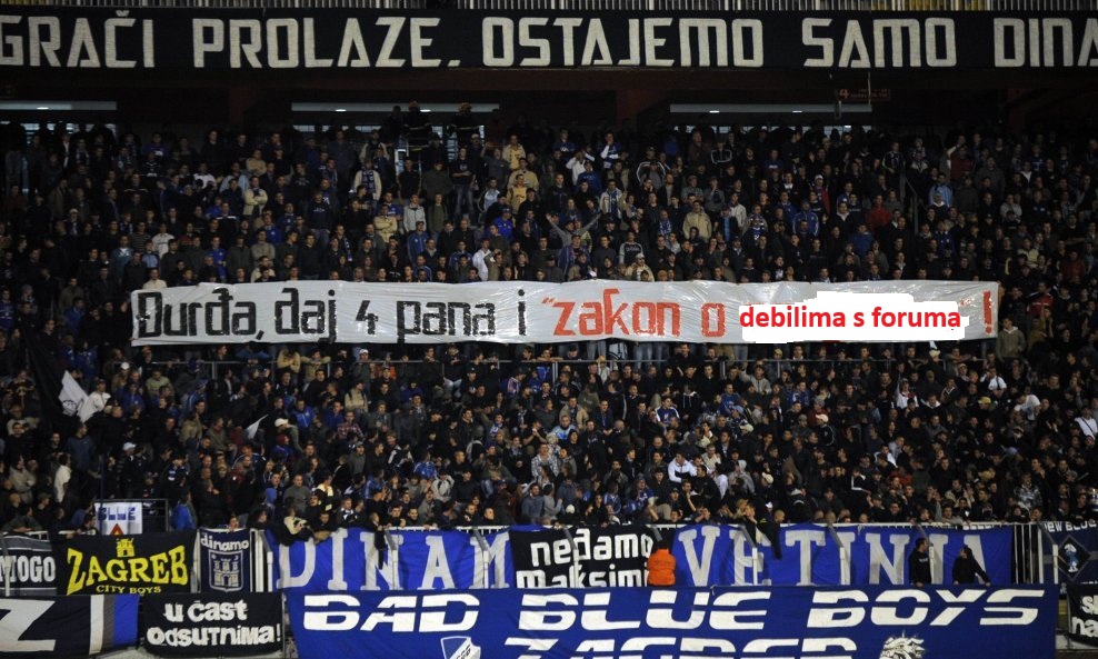 421462.jpg