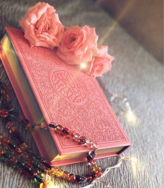 pink-bible-rose-new.jpg