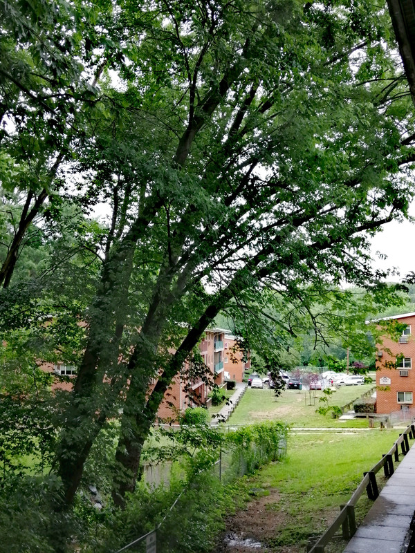 IMG_٢٠٢١٠٦١٠_١٥٢١٤٥