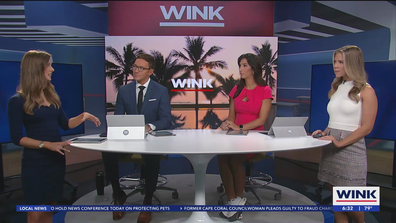 08.13 - 11.30.00 - WINK News at 6 30am  ᴺᵉʷ. Morning news..ts_snapshot_03.39.841