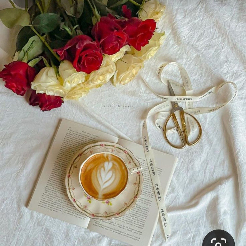 Screenshot_20230516_234155_Pinterest