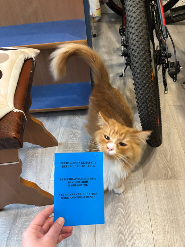 IMG 20260330 110527 532