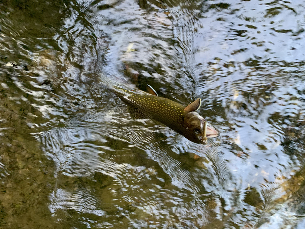 D3EADBCA-3ACC-4544-A443-71EA320C43DE