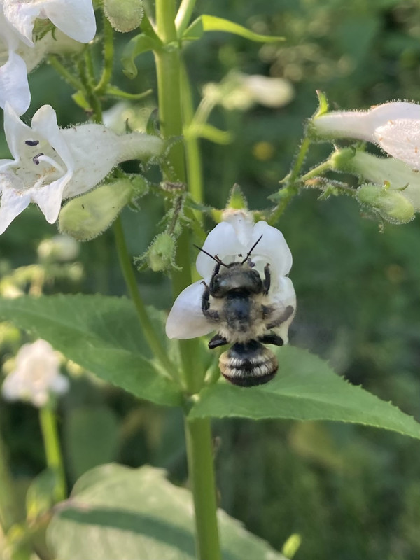 8373B254-73F4-47CD-82D1-13EE2042FA7D