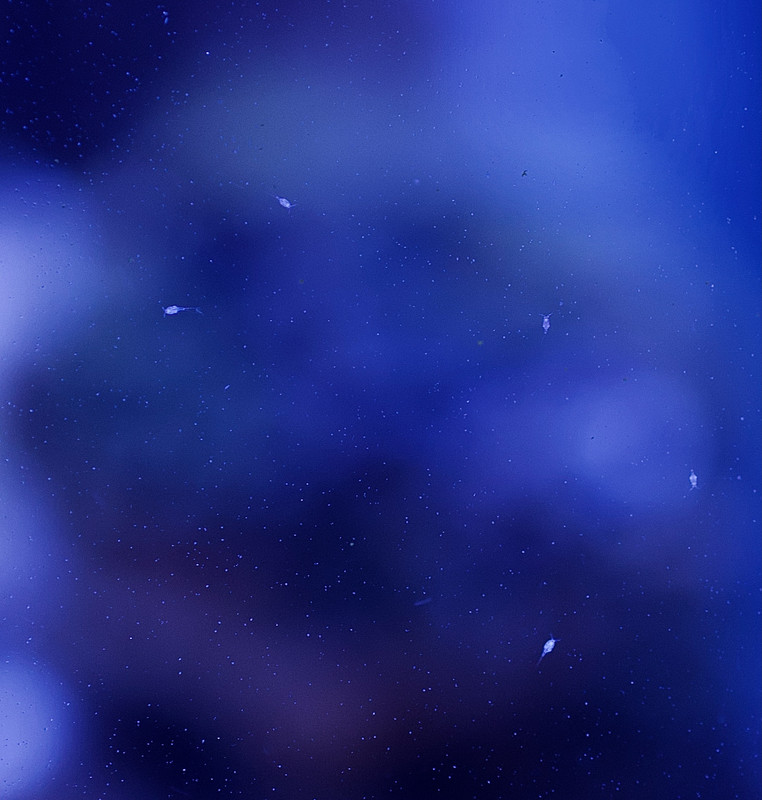 68176A27-B35D-4B5E-9B14-281E05D473B3