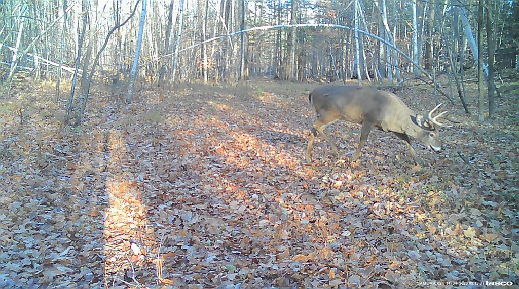 1D551D0F-5D8D-4F76-8E1C-9856A2B65C16