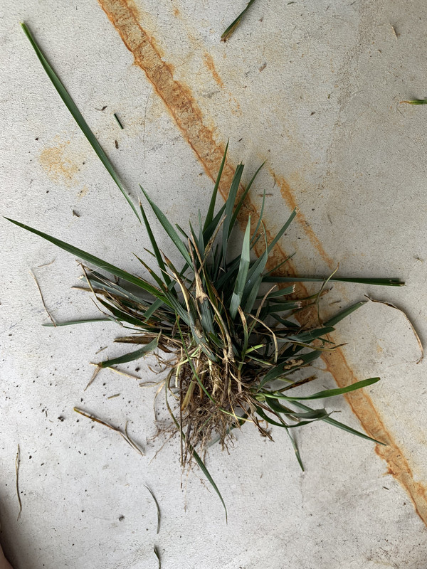 CE3953B2-B8CC-4E16-BE40-13CEFC8DF309