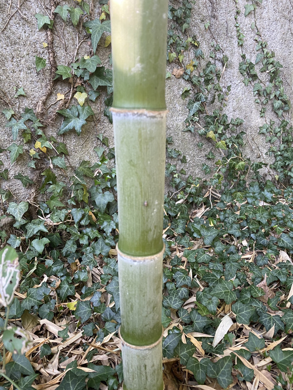 B22967E8-4703-4B71-950B-DD71C2CA575E