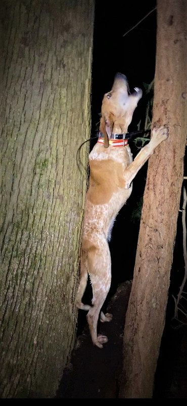 Resized_IMG_4123 (1)