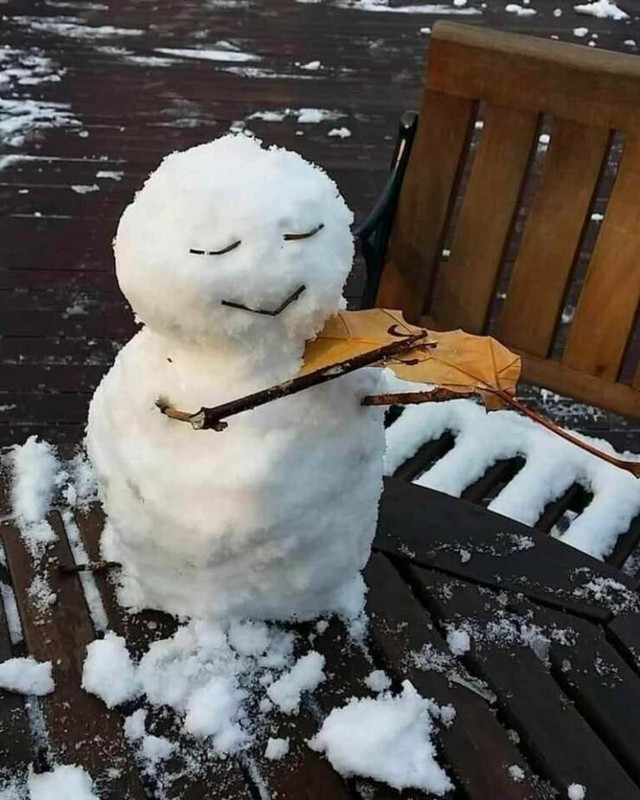 daily-picdump-35-5.jpg