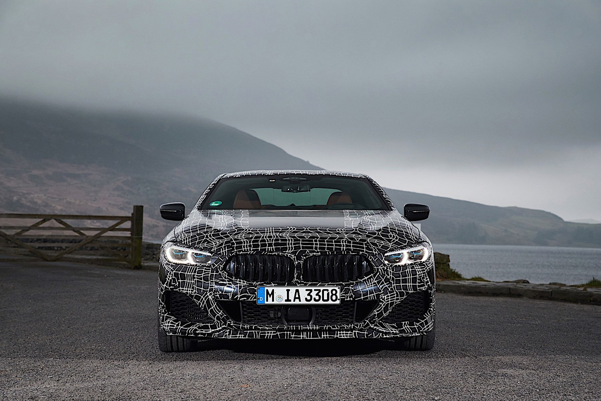 BMW 8 Series Coupe (38)