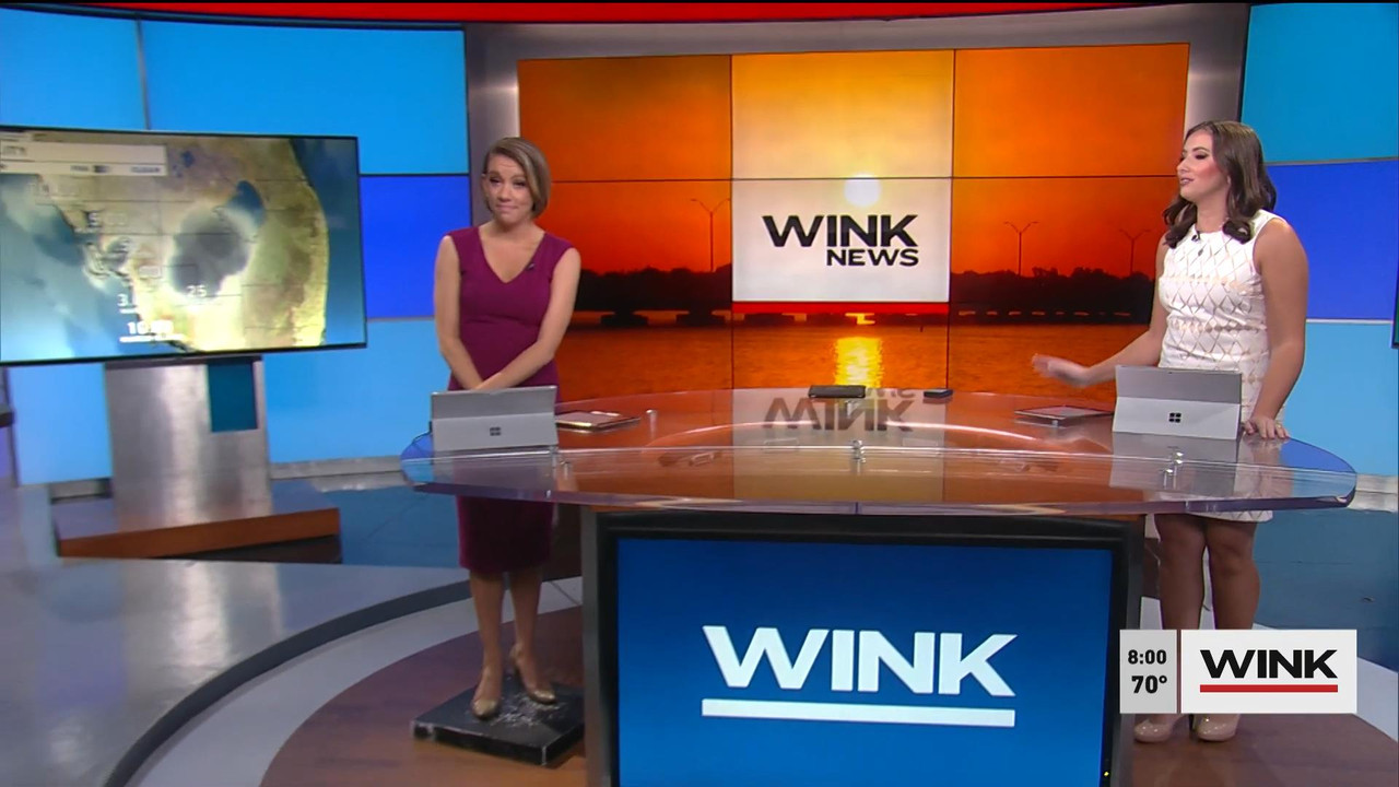01.02 - 13.00.00 - WINK News @ 8 00AM Sunday. Local news, sports and ....ts_snapshot_00.28_[2022.01.