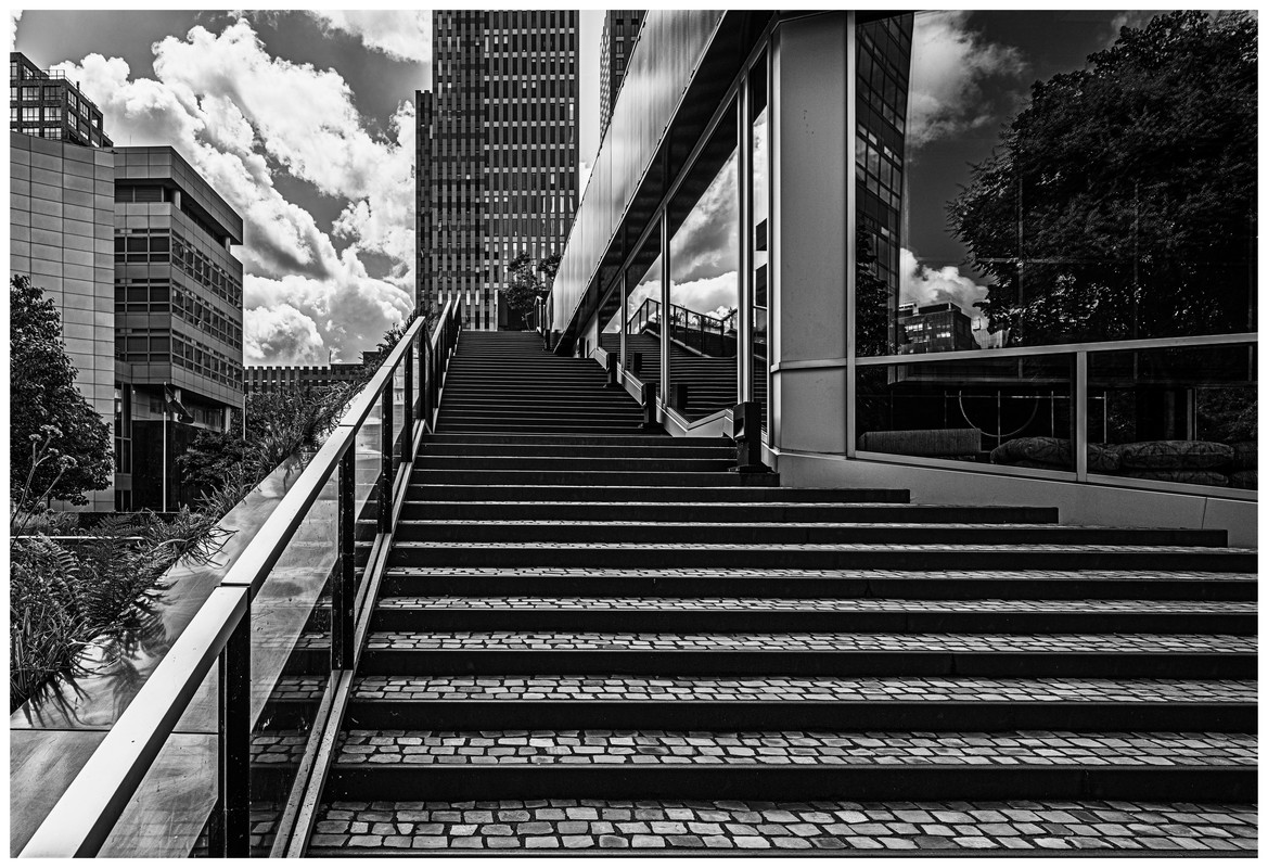 Fotografie