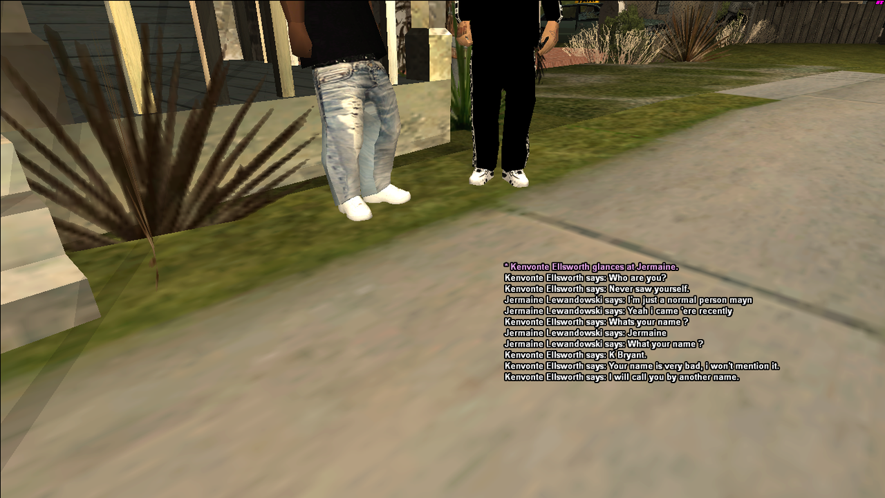 ss3.png