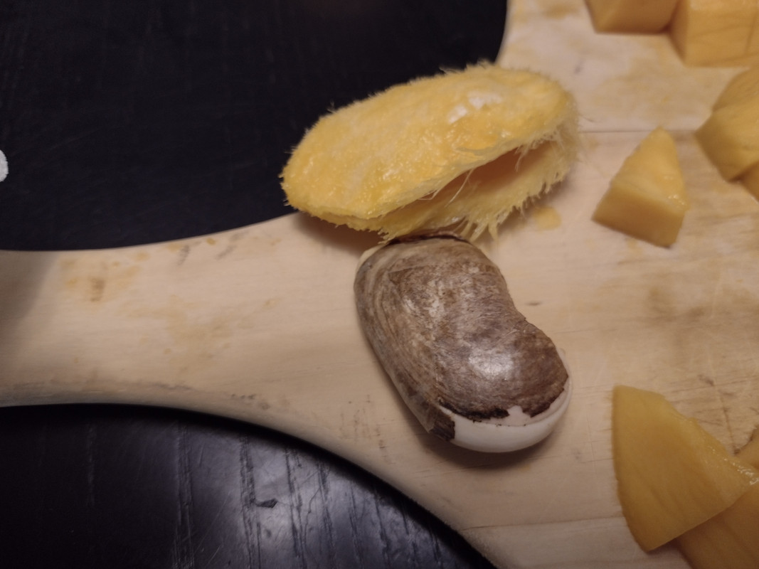 IMG_20210531_120926078_HDR