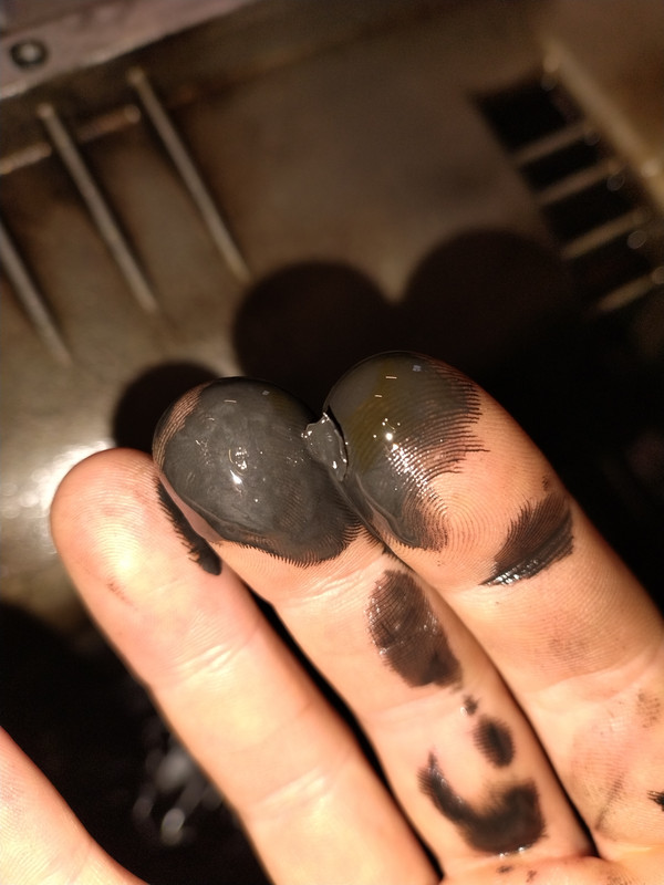 IMG 20251114 122328726