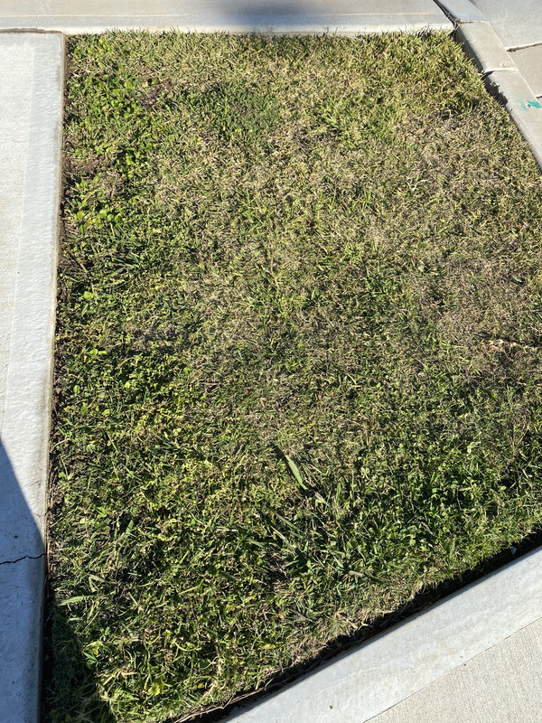 503DE7CD-01A2-4ACA-8DD8-BD1B7E58F344