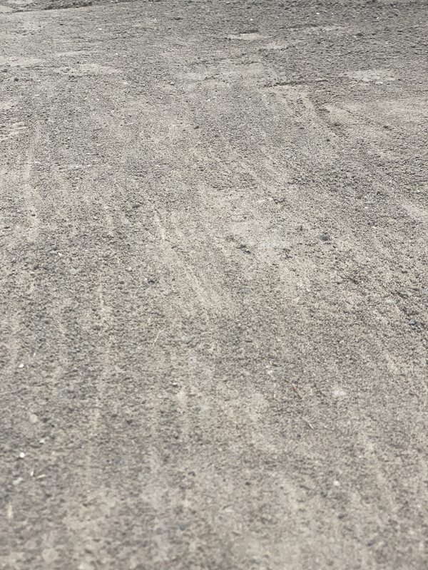 D95154A3-640D-42A7-BA59-008018EB4DD5