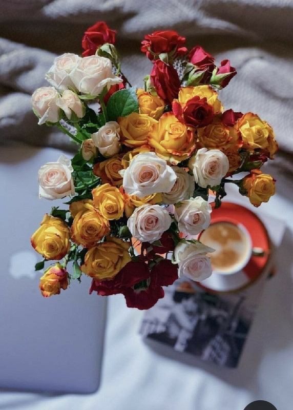 Screenshot_20230712_011148_Pinterest