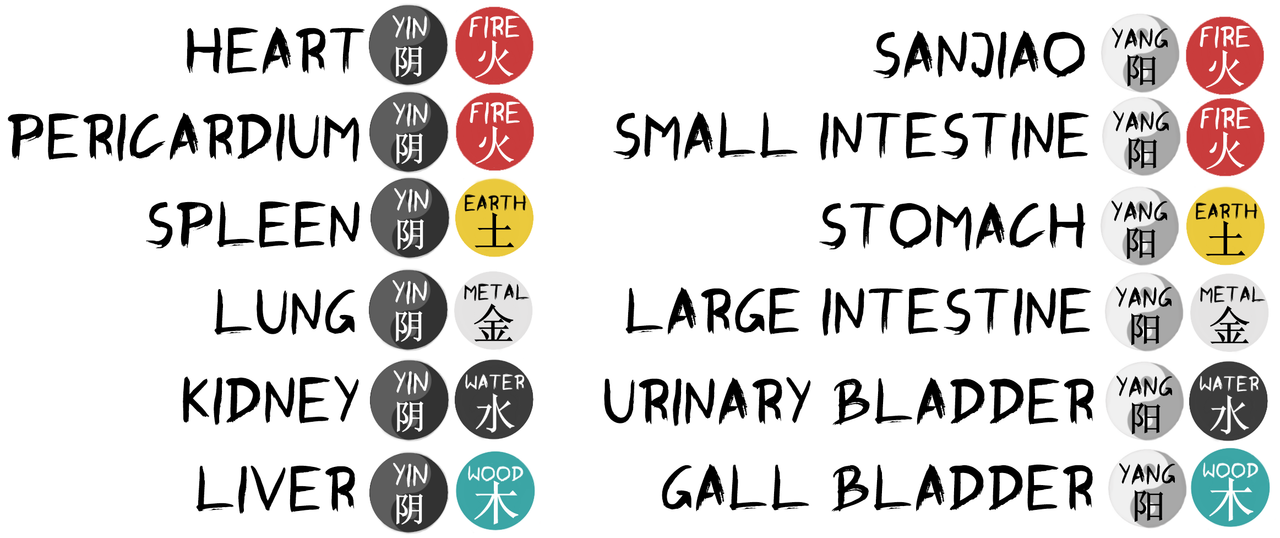 Twelve meridians and their energy affinities
