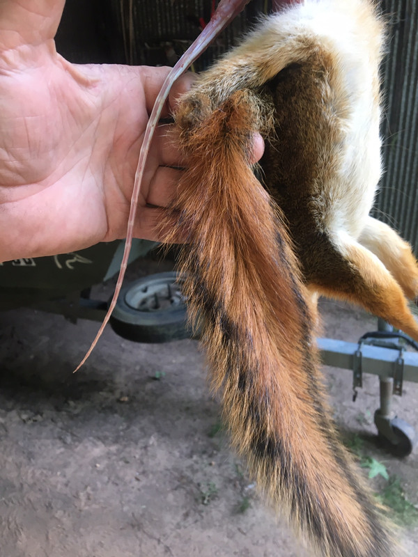 E25294AB-D309-466B-B651-DF717EE4558B