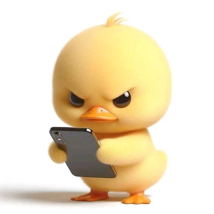 Profile sicbo online
